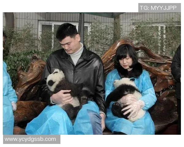 小米与姚明亲密合影展现友谊与合作精神引发网友热议