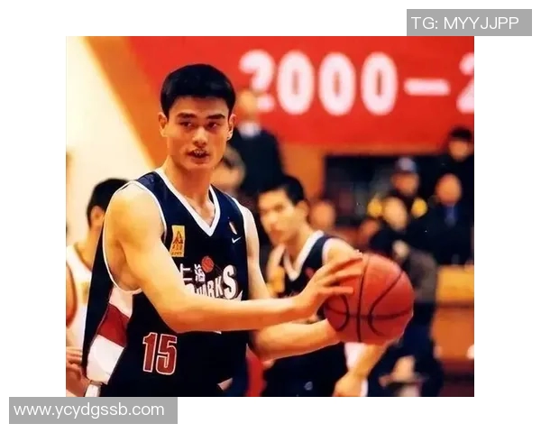 姚明勇斗鲨鱼展现巨人风范引发全场热议与赞叹