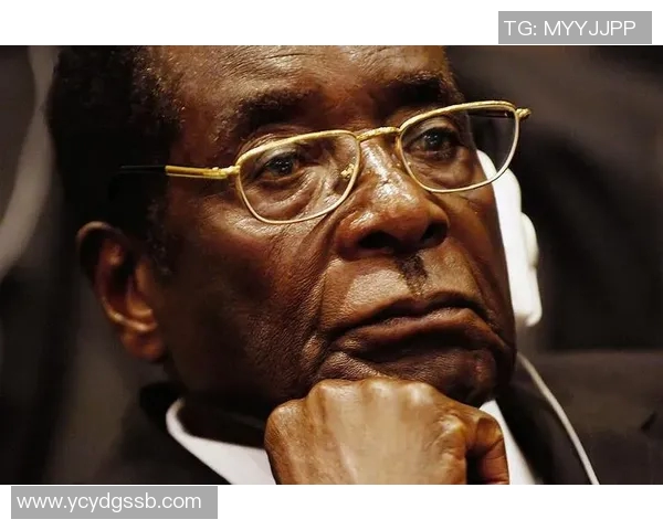 津巴布韦足球明星盘点及其在国际舞台上的辉煌成就