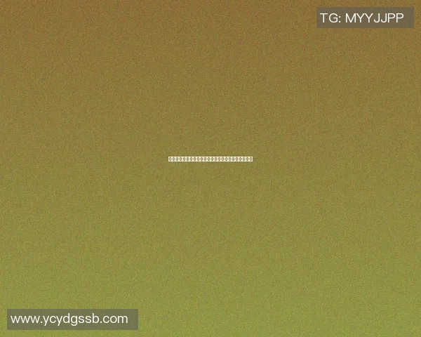 篮球明星什么芬的传奇故事与职业生涯的辉煌成就解析 篮球明星什么芬的传奇故事与职业生涯的辉煌成就解析